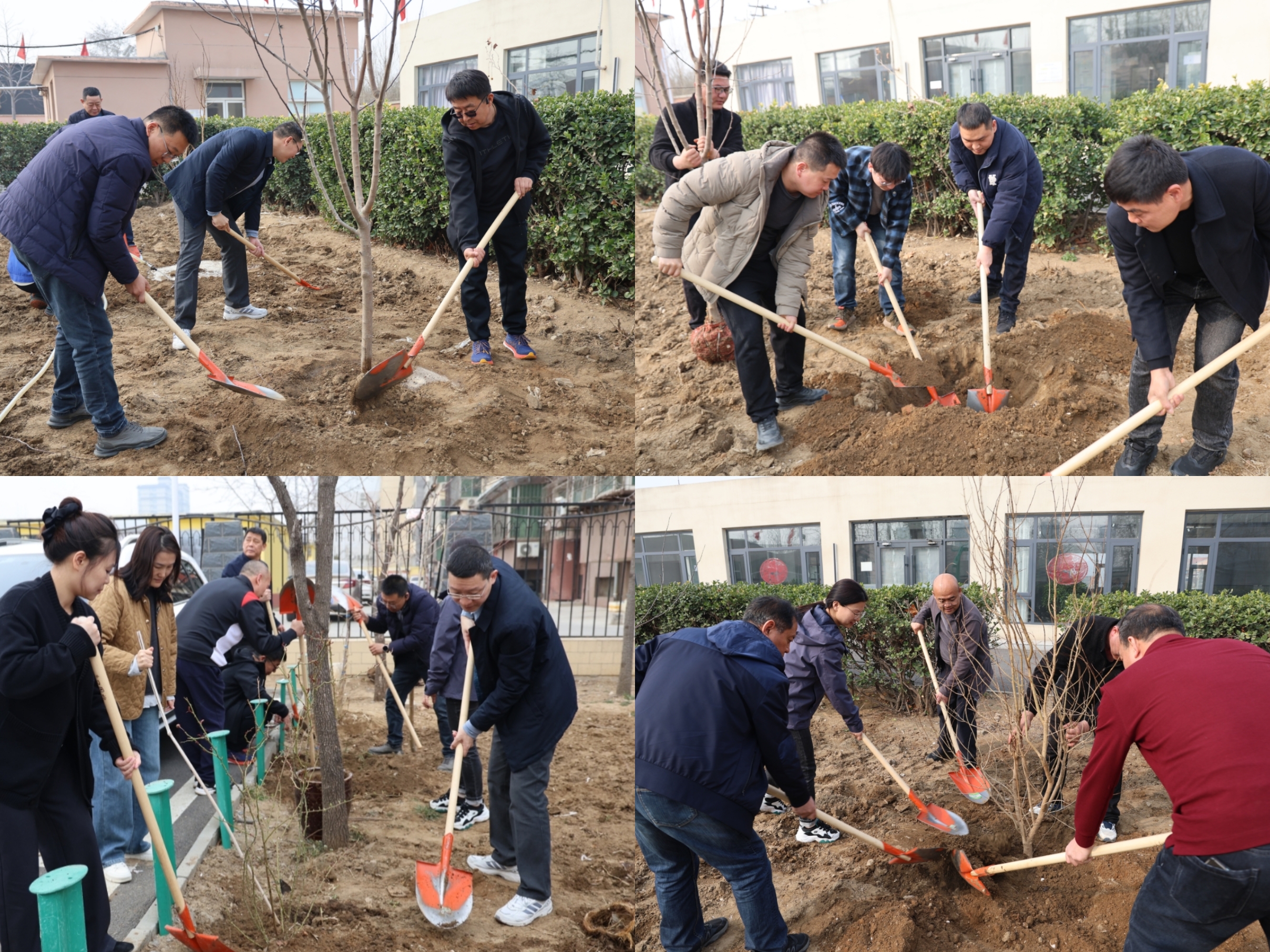 C:\Users\lenovo\Desktop\微信图片_20250311123721.jpg C:\Users\lenovo\Desktop\微信图片_20250311123721.jpg